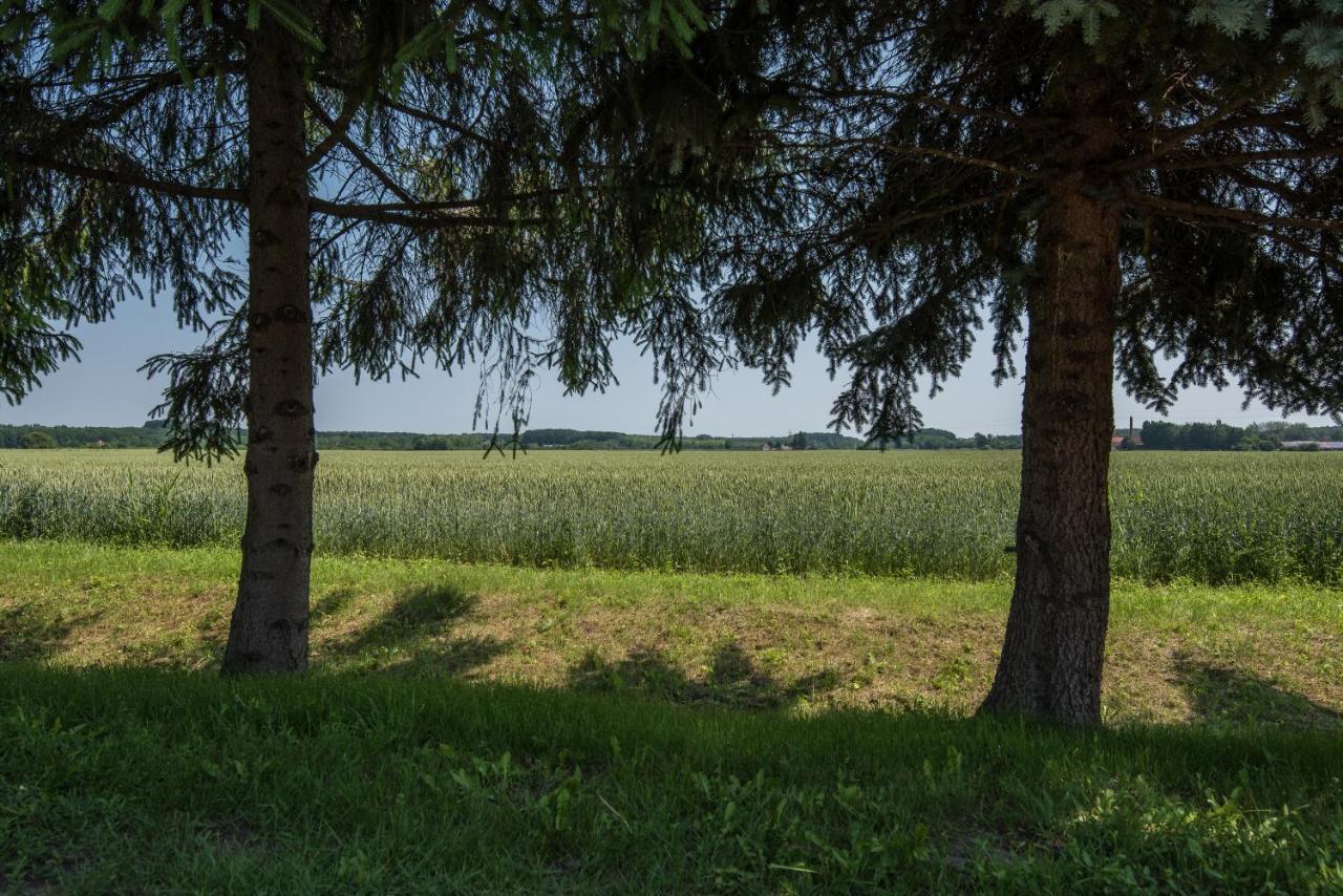 Posteleki Vendeghaz-Nyugalom Szigetei Villa Gyula Eksteriør bilde